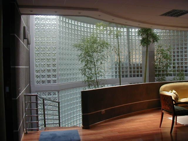 Olivos — foto 5